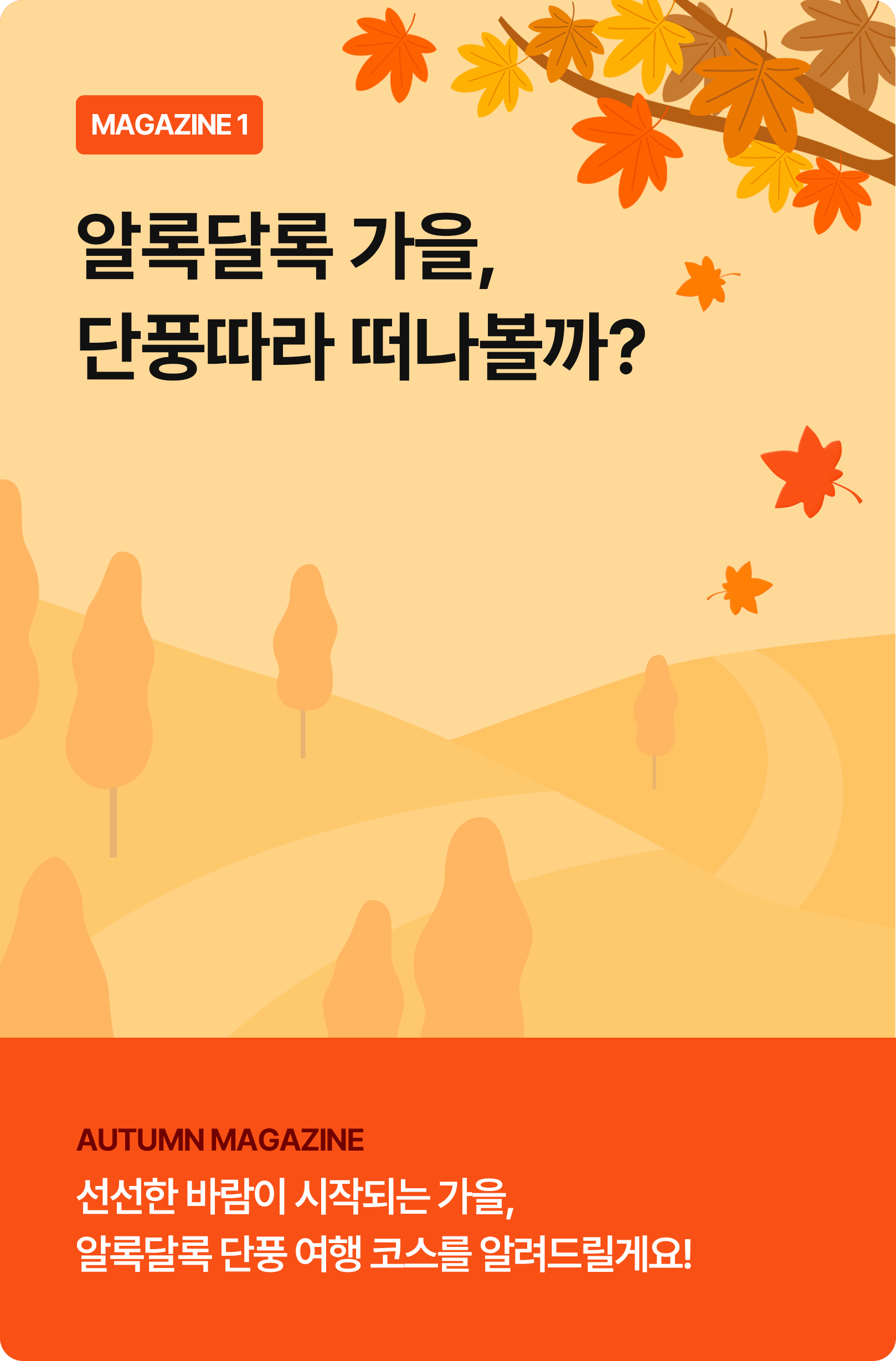 단풍따라 떠나볼까?